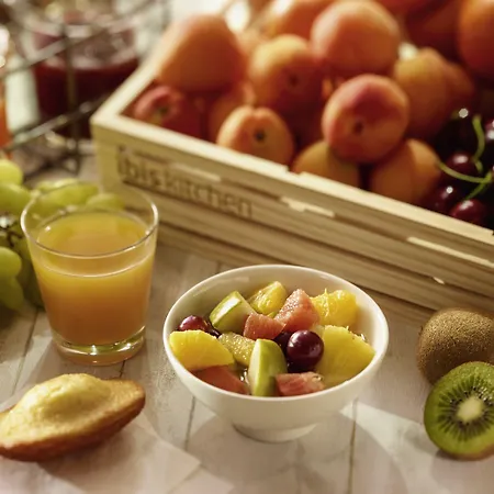 Hotel Ibis Aéroport