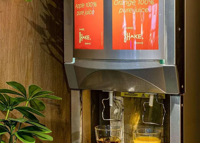 Ibis Aéroport Hotel 3*